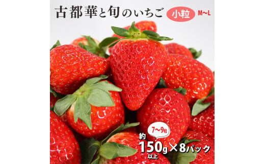 古都華と旬のいちごつめあわせ（中粒、小粒）M-L 訳あり 約150g x 8パック 7~9粒 | フルーツ くだもの 果物 いちご イチゴ ことか コトカ 古都華 奈良県 五條市 773016 - 奈良県五條市