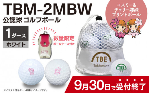 コスミー&チェリー 飛衛門 メッシュバッグ入り 公認球 ゴルフボール 1ダース ホワイト　KP4305 884269 - 福岡県上毛町