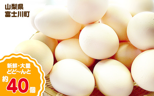 ひまわりたまご40個程度 ※破卵補償10個含  卵 鶏卵 玉子 大容量 238351 - 山梨県富士川町