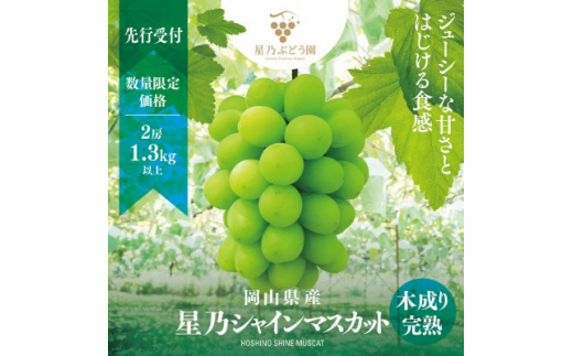 岡山県津山市のふるさと納税 | 商品一覧 | セゾンのふるさと納税