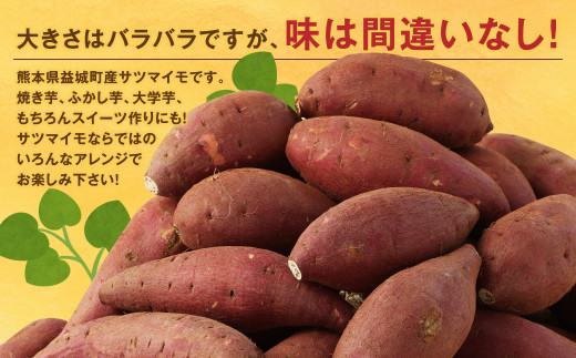 熊本県 益城町産 さつまいも シルクスイート 紅はるか 10kg 焼き芋 ふかし芋 大学芋