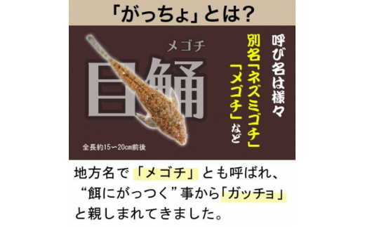 泉州名物 がっちょの唐揚げ(詰合せセット)各50g×計10個入【1419519