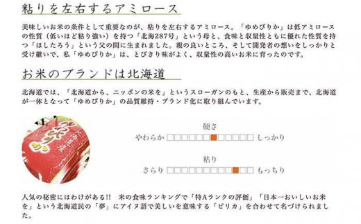 令和4年産 北海道産 ゆめぴりか 精米20kg (5kg×4袋) ごはんソムリエ