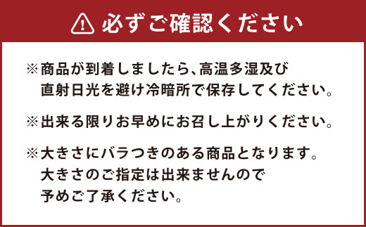 熊本県 益城町産 さつまいも シルクスイート 紅はるか 10kg 焼き芋 ふかし芋 大学芋