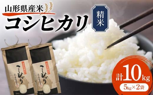 先行予約》山形県産米 コシヒカリ 5kg こしひかり 精米 米 お米 おこめ