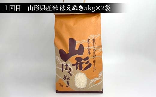 《先行予約》山形県産米 10kg 食べ比べ定期便（全5回） 精米 米 お米 おこめ 山形県 新庄市 F3S-1732