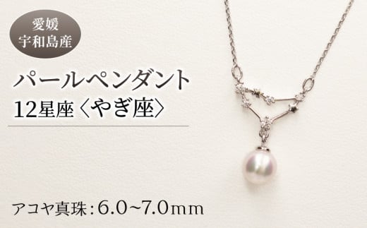 パール ペンダント 12星座 6.0-7.0mm 土居真珠 やぎ座 星座 真珠 アクセサリー ネックレス パールネックレス アコヤ真珠 本真珠 ファッション カジュアル 冠婚葬祭 慶事 結婚式 卒業式 入学式 お祝い ギフト 贈り物 特産品 国産 愛媛 宇和島 A058-012010 1272530 - 愛媛県宇和島市