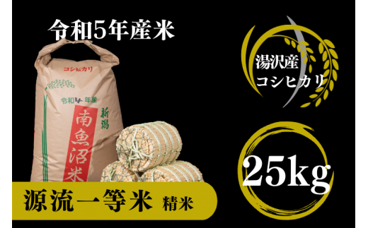 農家直送コシヒカリ 精米25kg - 米/穀物