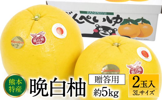 先行予約】 熊本県産ハウス晩白柚 2玉 2Lサイズ 4kg以上 【2023年12月