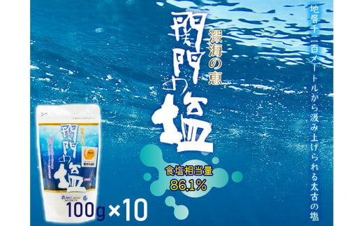 深海の恵み 関門の塩 合計1000g (100g×10袋) ミネラル 塩 調味料 塩分濃度86.1％ カルシウム マグネシウム カリウム しお 少量 小分け