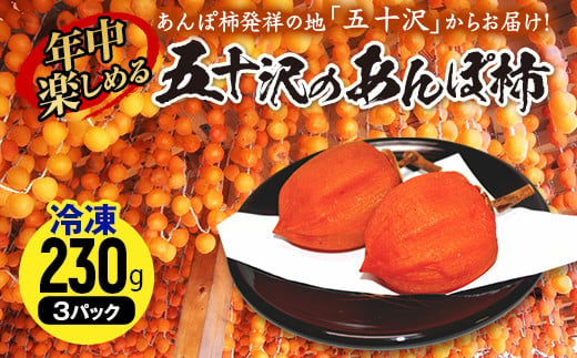 年中楽しめるあんぽ柿230g×3パック（冷凍） F20C-736