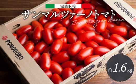 【完熟収穫 サンマルツァーノトマト】 サンマルツァーノリゼルバ 約1.6kg トマト
