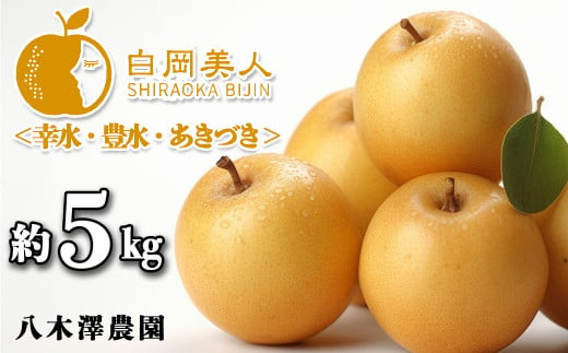 八木澤農園の美味しい梨　約5kg（糖度保証
