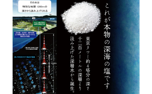 深海の恵み 関門の塩 合計1000g (100g×10袋) ミネラル 塩 調味料 塩分