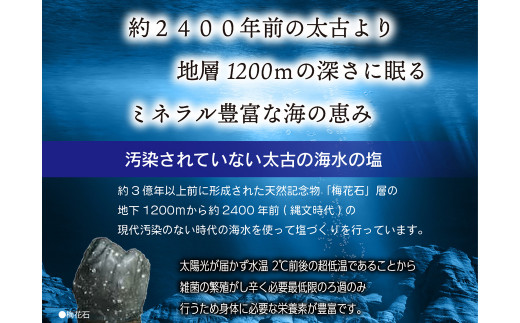 深海の恵み 関門の塩 500g (100g×5袋)