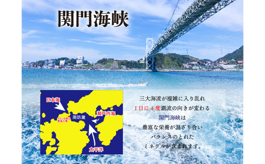 深海の恵み 関門の塩 合計1000g (100g×10袋) ミネラル 塩 調味料 塩分