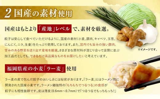【6回(隔月)定期便】【国産冷凍生餃子】ラー麦を使用した大きめ餃子50個