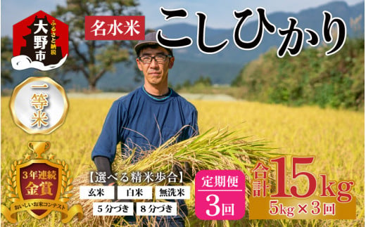 [令和5年産][3ヶ月定期便]越前大野産 一等米 帰山農園の棚田育ちコシヒカリ 5kg 8分づき 5kg × 3回 計15kg