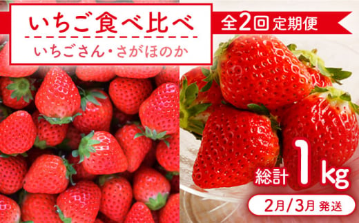 【全2回定期便】いちご食べ比べ定期 総計1kg（さがほのか いちごさん）【むらおか農園】 [HAF026] 980753 - 佐賀県江北町