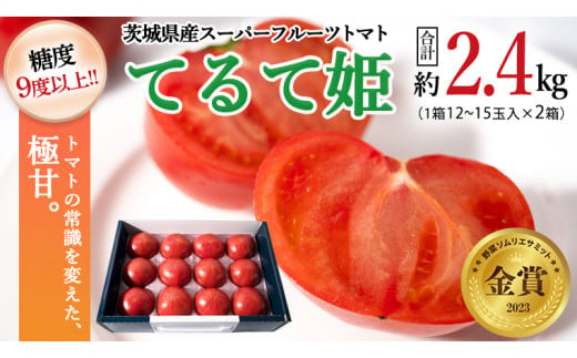 【2024年2月上旬発送開始】スーパーフルーツトマト てるて姫 中箱  約1.2kg×2箱  【12〜15玉/1箱】 糖度9度以上 ブランドトマト フルーツトマト トマト とまと  [BC034sa]