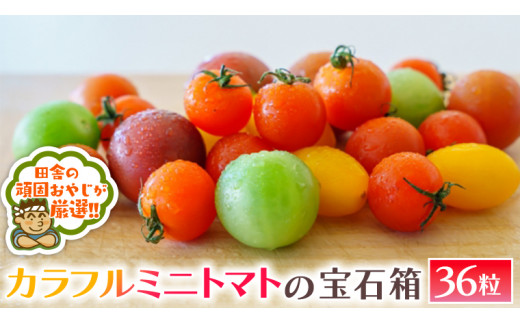 カラフルミニトマト の 宝石箱 36粒   【令和6年1月から発送開始】トマト ミニトマト カラフル 野菜 フルーツ