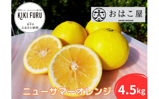 おはこ屋がつくる　ニューサマーオレンジ　4.5kg 985969 - 愛媛県西予市