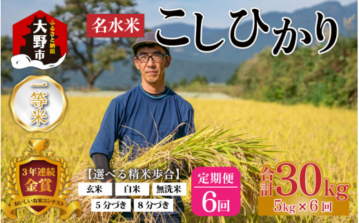 【令和6年産 新米】【6ヶ月定期便】越前大野産 一等米 帰山農園の棚田育ちコシヒカリ 無洗米 5kg × 6回 計30kg  463750 - 福井県大野市