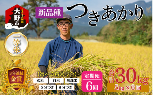 【令和5年産】【6ヶ月定期便】越前大野産 一等米 帰山農園の「つきあかり」5kg 【選べる精米方法】白米 463778 - 福井県大野市