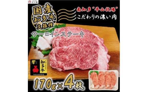 牛肉 サーロインステーキ 170g×4枚 知多牛 響 980653 - 愛知県南知多町