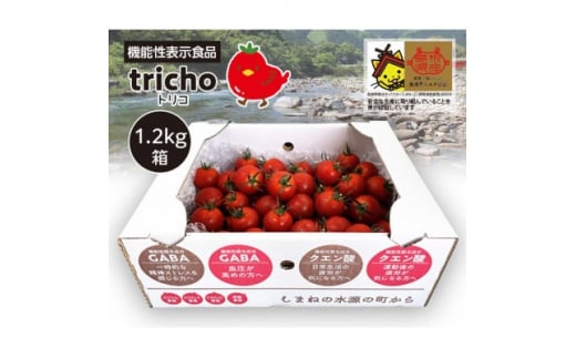 高糖度フルーツトマト「tricho(トリコ)」1.2kg【1420206】 980899 - 島根県吉賀町