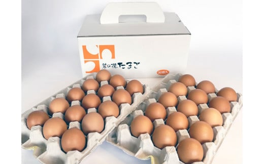 《全12回定期便》君津市産 菜の花エッグ アスタキサンチン卵赤玉30個入り 菜の花たまご たまご 卵