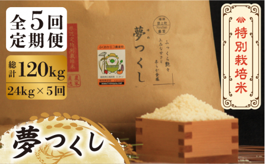 全5回定期便】特別栽培米 夢つくし 24kg 《築上町》【Nouhan農繁】 米