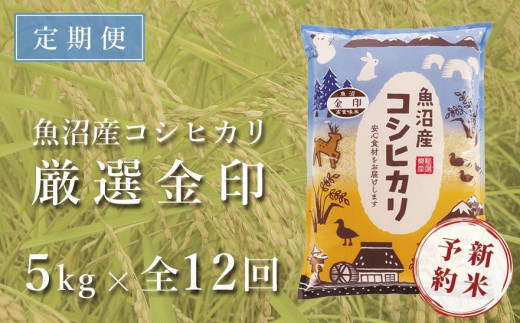 ＜令和5年産新米＞【定期便】魚沼産コシヒカリ「金印」高食味米 5kg×全12回（12ヶ月連続お届け）|