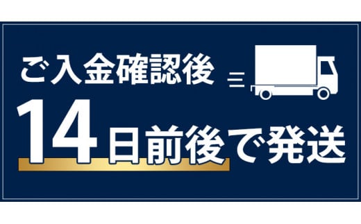 本格焼酎 さつま島美人・島娘(900ml×2本) nagashima-3181 - 鹿児島県長