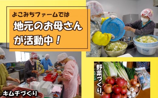 岩手県金ケ崎町のふるさと納税 【 先行予約 】たまねぎ 10kg（28個程度） 訳あり M L サイズ 不揃い バラバラ 令和7年7月〜10月発送 皮剥け 生食 常温 長期保存  金ケ崎町産 たまねぎ タマネギ オニオン 玉葱