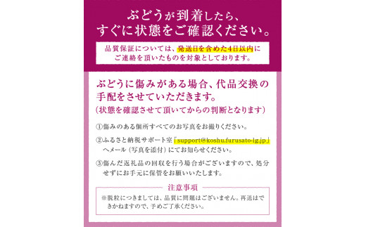 厳選】池田青果のぶどう2種盛り合わせ【シャインマスカット・巨峰】(IS