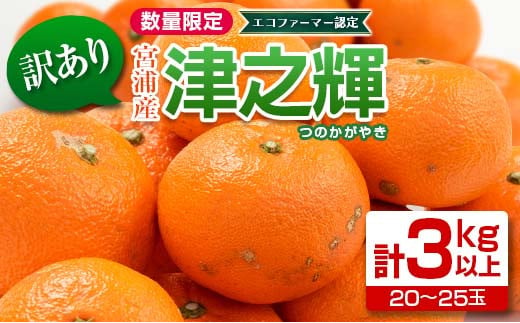 訳あり≪数量限定≫津之輝(計3kg以上)　フルーツ　果物　柑橘　みかん　国産 B110-20