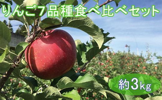  りんご 7品種 食べ比べ セット 約3kg 【予約受付】 【1245】 352727 - 岩手県花巻市