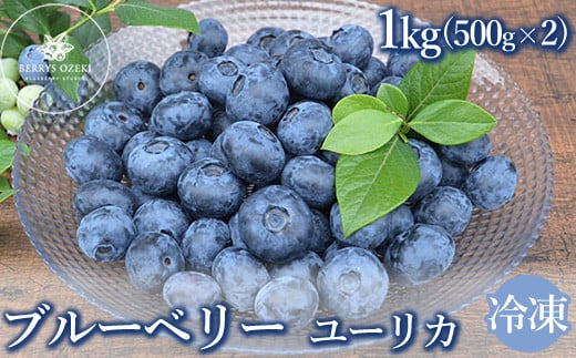 冷凍　最短3日発送　ユーリカ　1kg（500g×2) ブルーベリー※離島への配送不可※着日指定不可 982043 - 茨城県土浦市