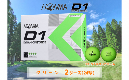 ふるさと納税 SHG0056 本間ゴルフ ゴルフボール D1 SPIN