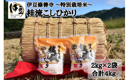 静岡 伊豆 修善寺 産【 桂流 こしひかり 】 2kg × 2袋 数量限定 100 セット コシヒカリ 白米 お米 精米 国産 米 ごはん 特別栽培米  お取り寄せ 静岡県 伊豆市007-003|農事組合法人グリーンファーム桂谷, 0558-72-8888