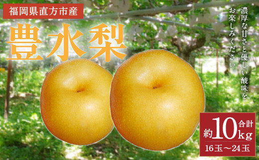 豊水 梨 約10kg (16～24玉)