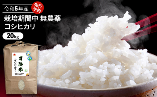コシヒカリ 20kg 玄米 無農薬 【送料無料】 - 米