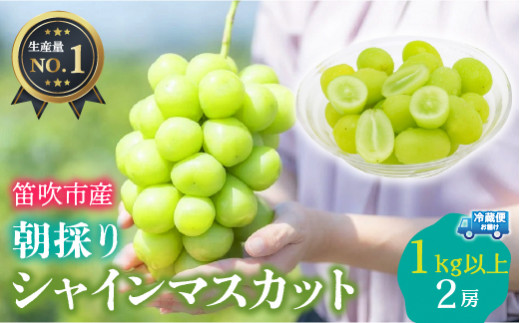 シャインマスカット 2房 1.0kg以上 ※クール便配送 - 山梨県笛吹市