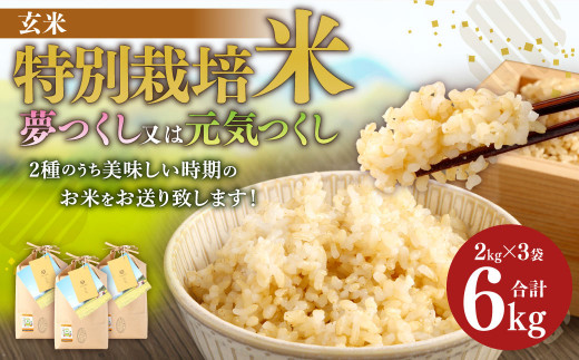 特別栽培米（玄米）2キロ×3袋 計6kg 夢つくし/元気つくしのどちらかを