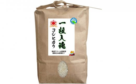 米/穀物5年産コシヒカリ玄米20キロ減農薬
