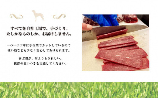 【アスランエゾベニソン ジャーキー 40g×5パック】 ドッグフード　キャットフード　鹿肉　完全無添加　犬用おやつ　猫用おやつ