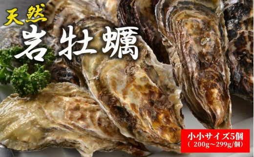天然岩牡蠣（加熱食用）小小サイズ5個入　 975364 - 和歌山県由良町