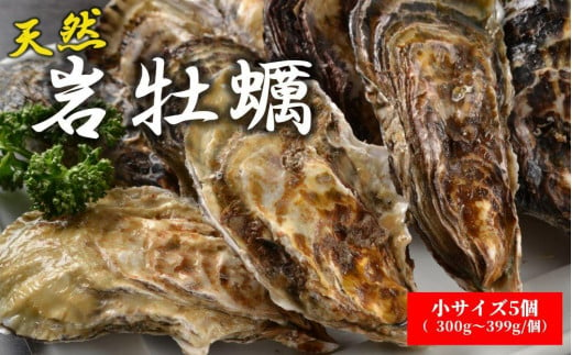 天然岩牡蠣（加熱食用）小サイズ5個入　 975365 - 和歌山県由良町
