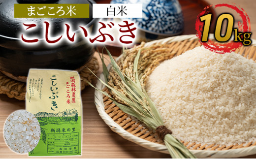 まごころ米こしいぶき10kg（白米） 712544 - 新潟県新潟市